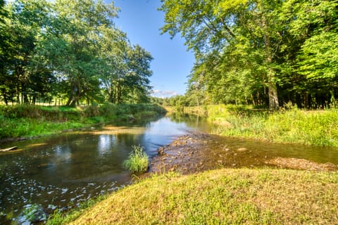 Scenic Log Cabin with Fire Pit & Stocked Creek! House in Allegheny River