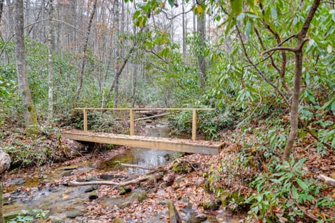 Creekside Family Retreat by Waterfalls & Hiking! House in Tennessee