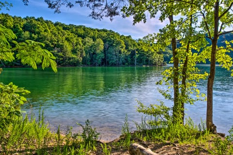 Cottage w/ Deck & BBQ: 2 Mi to Dale Hollow Lake! Cottage in Tennessee