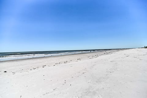 Resort Condo w/ Beach Access in Indian Shores! Apartment in Indian Shores