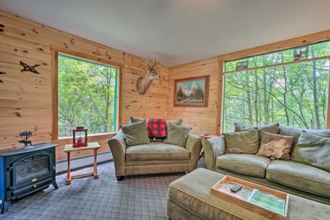 Spacious Mtn Cabin on 7 Private Acres in Athol! House in Capital District, NY, USA
