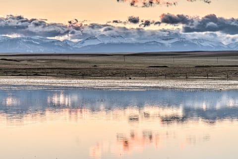 Updated Townhouse w/ Pergola, Walk to Downtown! Apartment in Idaho