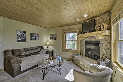 24-0160 Pet-Friendly Cabin: 1 Mi to Dtwn Fairplay Apartment in Park County