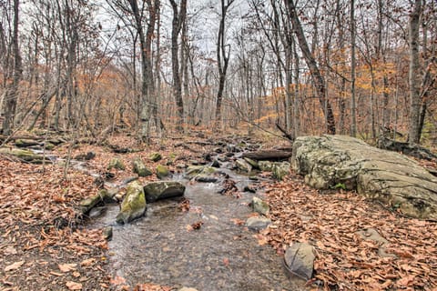 Wintergreen Resort Cabin: Near the Slopes! House in Nelson County