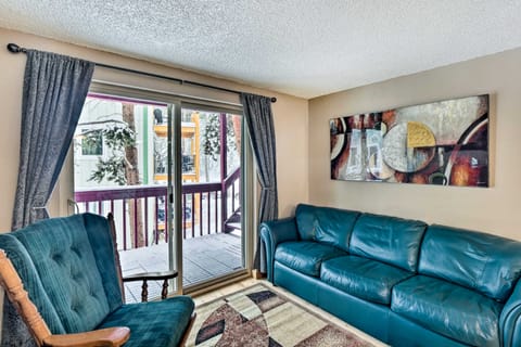 Free Ski Shuttle: Mtn Escape in Breckenridge! Apartment in Breckenridge