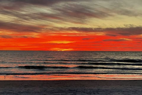 New Pool & Hot Tub! Beachfront Indian Shores Condo Apartment in Redington Shores