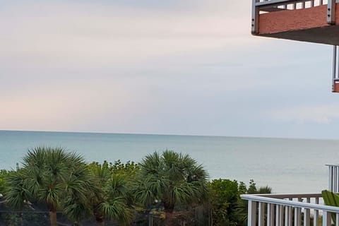 New Pool & Hot Tub! Beachfront Indian Shores Condo Apartment in Redington Shores