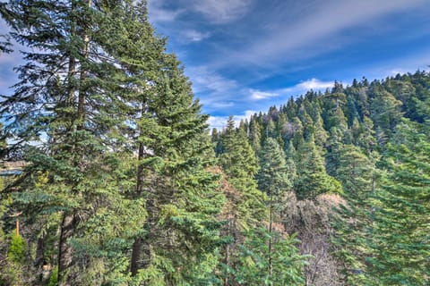 Lake Arrowhead Cabin w/ Deck & Stunning Mtn Views! House in Lake Arrowhead