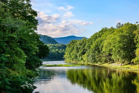 Rustic Hideaway w/ Fire Pit < 1 Mi to River! House in Shenandoah Valley