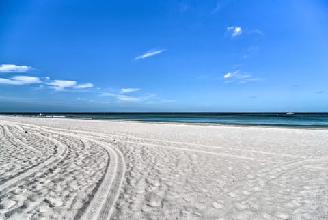 Apartment w/ Easy Access to Indian Rocks Beach! Apartment in Indian Rocks Beach