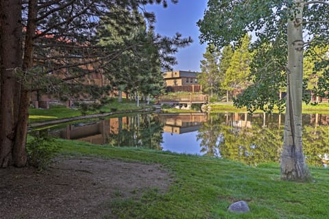 < 2 Mi to Frisco Adventure Park: Cozy Townhome! Apartment in Frisco