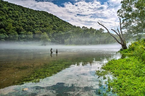 Watefront Branson Condo w/ Screened-In Balcony! Apartment in Branson