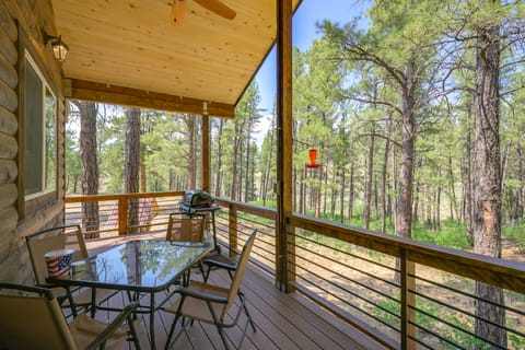 'Cabin at the Little Ranch' w/ Hiking On-Site! House in La Plata County