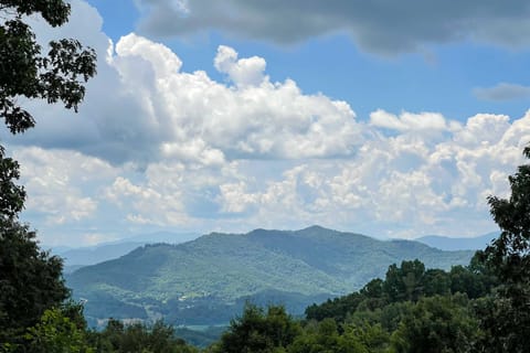 Smoky Mtn Cabin by Cataloochee Valley Elk Viewing! House in Tennessee
