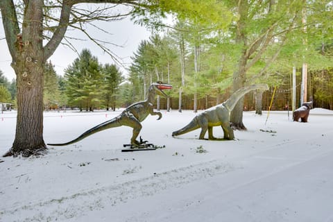 Adirondacks Cabin: Fish, Hunt & Hike! House in Adirondack Mountains