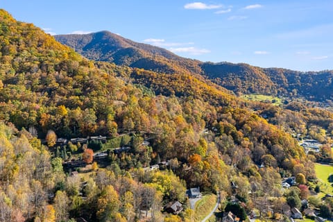 Best Location - Maggie Valley Cabin w/ Hot Tub! House in Maggie Valley