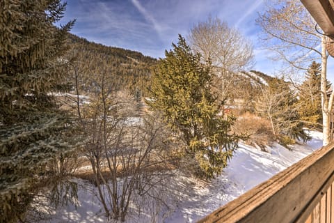 Inviting Mountain Condo w/ Balcony in Vail Valley! Apartment in Avon