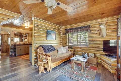 Jemez Springs Cabin w/ Stunning Mtn Views! House in New Mexico