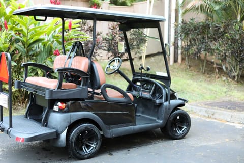 Bright & Airy Lahaina Condo - Walk to Beach! Apartment in Kapalua