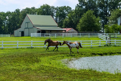 Renovated Bunkhouse on 12-Acre Horse Farm! Apartment in Ohio