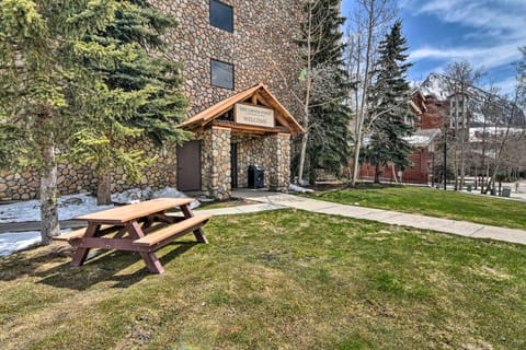 Cozy Colorado Studio Near Crested Butte Ski Slopes Apartment in Colorado