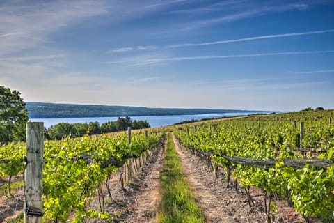 Finger Lakes Farm Retreat: Walk to Wineries! House in Seneca Lake