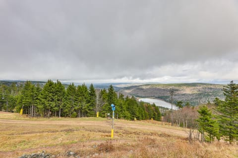 Snowshoe Condo w/ Mtn Views, Walk to Ski Lift Apartment in Snowshoe