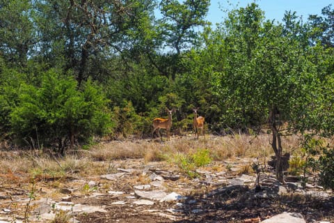 Cozy Kerrville Guest Cottage Near Guadalupe River! House in Rio Grande