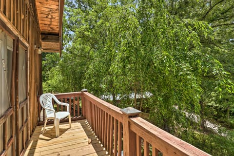 Pet-Friendly Leicester 'Mountain View' Escape Apartment in Buncombe County