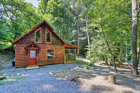 Charming Murphy Cabin w/ Porch - Near Hiking! House in Tennessee