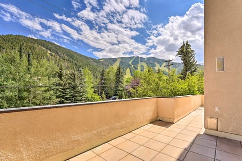 Luxe Ketchum Sanctuary - Walk to Sun Valley! House in Ketchum