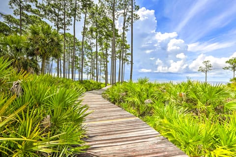 Breezy Home w/ Grills, Pool & Beach Access! House in Florida