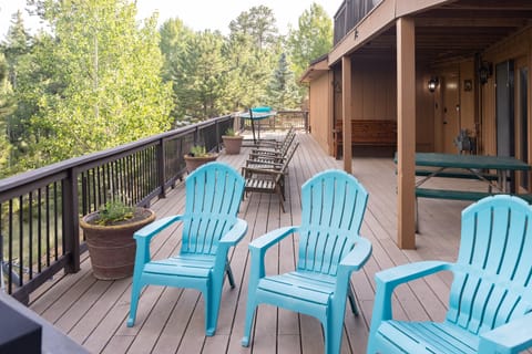 'Lazy Bear Lodge' in Florissant w/ Mountain Views! House in Colorado