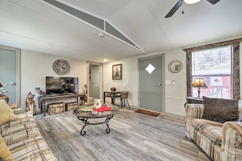 Bring a Pet: Smoky Mtn Vacation Rental w/ Yard! House in Swain County