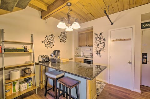 Snug Wintergreen Resort Studio: Ski In & Out! Apartment in Massies Mill