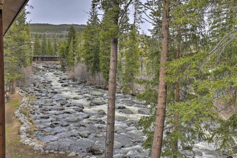 Walk to Grand Lake: Riverfront Gem w/ Fireplace! Apartment in Grand Lake