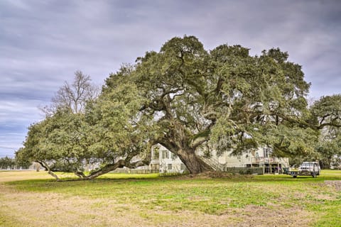 Vintage Louisiana Vacation Rental Home House in False River