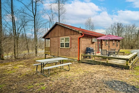 Cozy Cabin in Parsons: Hike, Fish & Explore! House in Shenandoah Valley