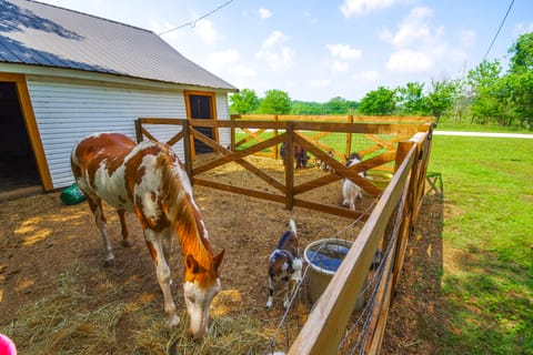 Spacious Missouri Vacation Rental w/ Fire Pit! House in Ozark Mountains