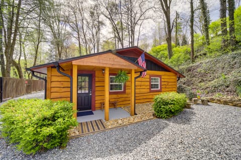 Multi-Unit Brevard Vacation Rental with Patio! House in Brevard