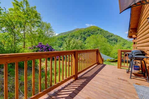 Maggie Valley Cabin 4 Mi to Cataloochee Ski Area! House in Maggie Valley