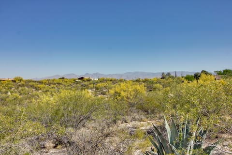 Eclectic Tucson Home 2 Mi to Saguaro National Park House in Tucson