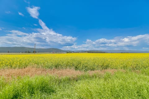 Remodeled Kalispell Farmhouse w/ Mountain Views House in Kalispell