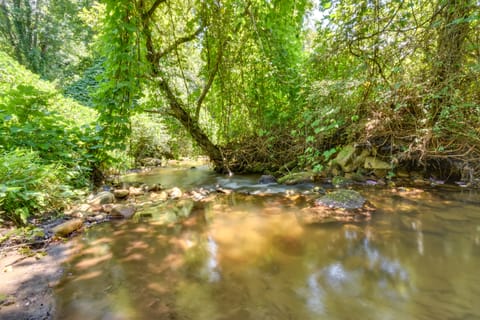 Pinnacle Mountain Falls: Sunset Cottage w/ Deck Cottage in Pickens County