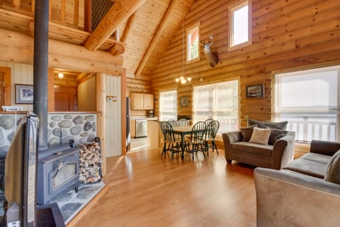 Lake Vermilion Cabin w/ Private Dock + Fire Pit! House in Lake Vermilion