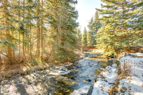 Charming Idaho Springs Retreat on Chicago Creek! House in Idaho Springs