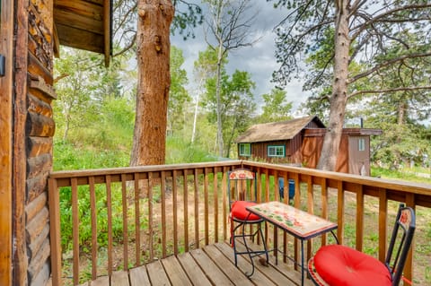 'Minnehaha' Allenspark Cabin Near Hiking! Apartment in Allenspark