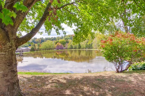 Meet Country Animals! ‘Farmyard Stays’ Dundee Home House in Ohio