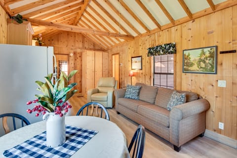 Cozy Dillard Cabin w/ Mountain Views & Pool Access House in Dillard