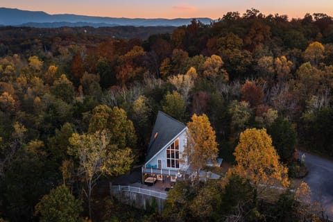 Smoky Mountains Cabin w/ Lake Access & Game Room! House in Douglas Lake